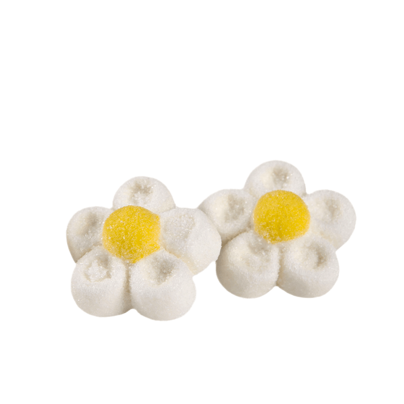 Bulgari Agostino Marshmallow - 3D white daisies