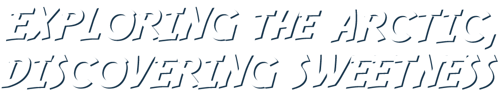 Adversting Bulgari Agostino - Exploring the artic, discovering sweetness