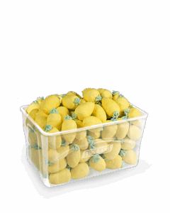 Bulgari-Agostino-Marshmallow-Lemons-Tray